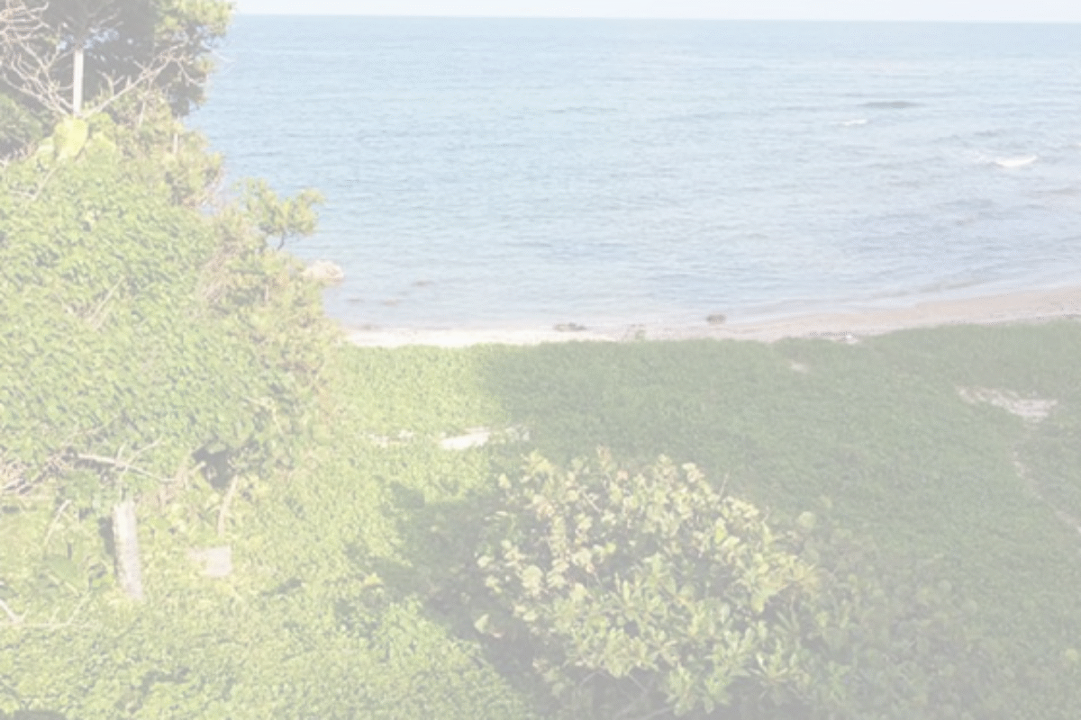 Montego Bay Villa