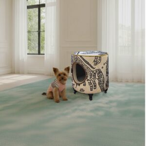 Small dog in room with unique patterned furniture.